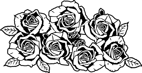 7 Roses